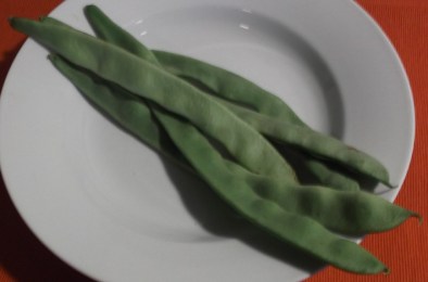 Flat_beans_raw
