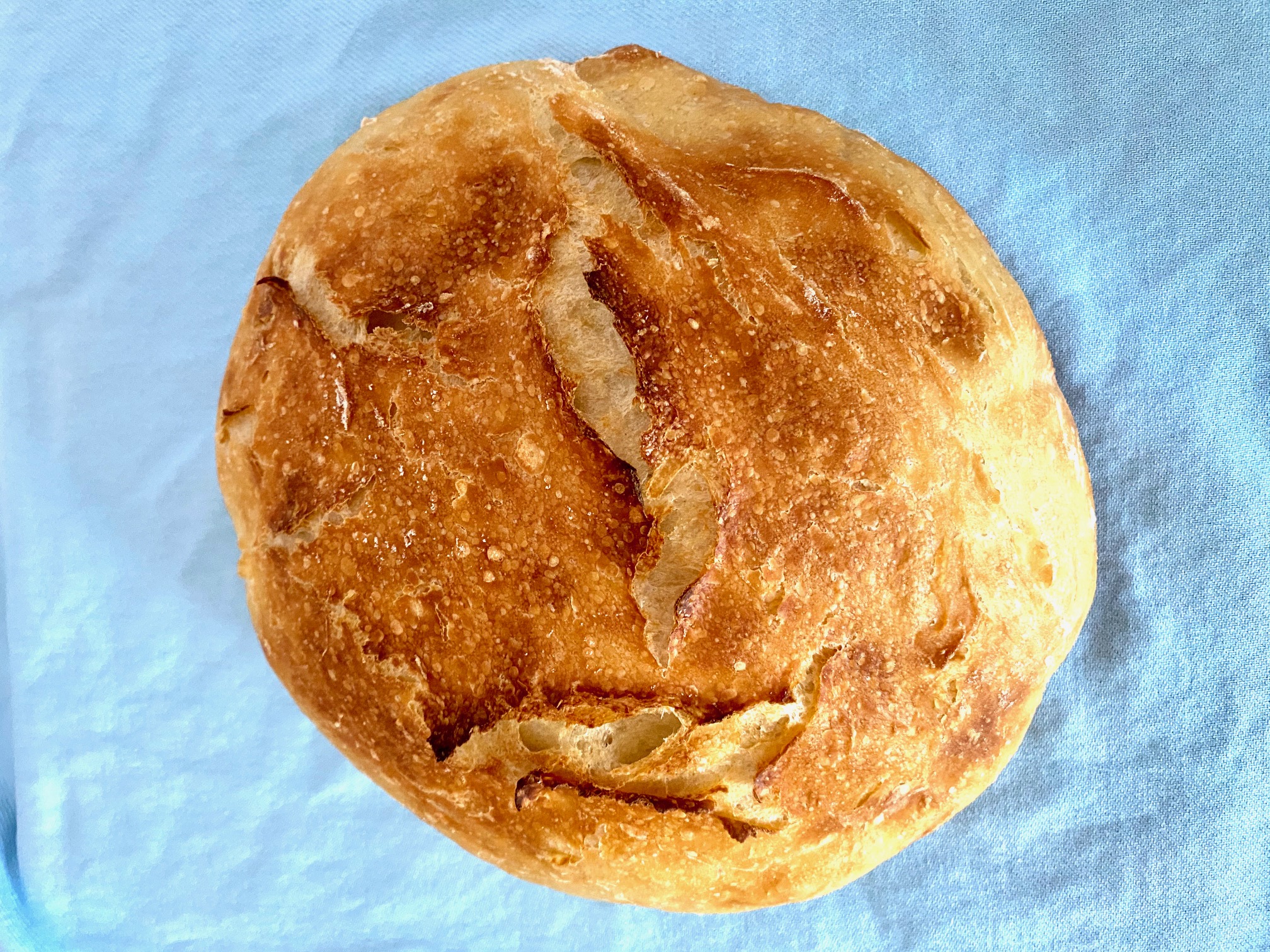 Quick No-Knead Artisan Bread